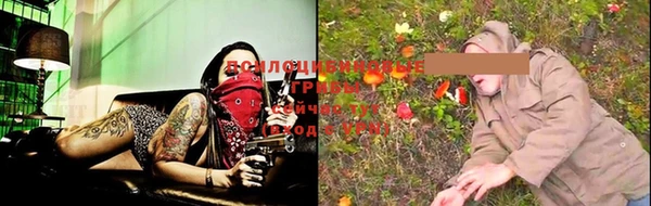 дмт Медвежьегорск