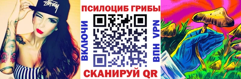 Купить  Канск  Галлюциногенные грибы мицелий 
