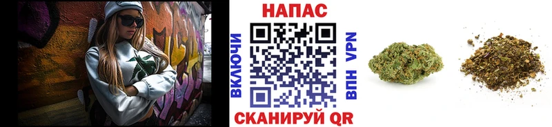 Бошки Шишки семена  Купить где  Канск 